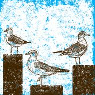 seagulls on pilings