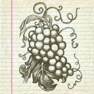 Hand-Drawn Grapes on Old Paper N3