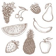 Fruit Drawings N5