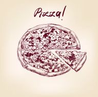 pizza hand drawn vector llustration realistic sketch