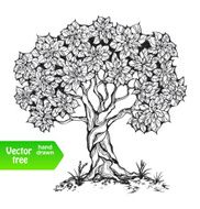 Alone tree