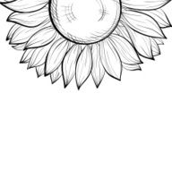 monochrome black and white background with floral border of sunflower