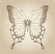 Beautiful butterfly painted in graphic style points