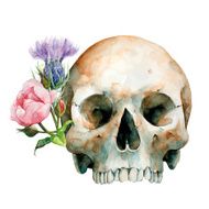 Human Skull Halloween Day Of The Dead Vector Illustration