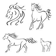Horse Design Set