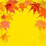 Autumn Maple Leaves Background