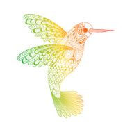 Zentangle stylized Hummingbird Hand Drawn vector illustration
