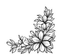 Beautiful black and white branch with flowers