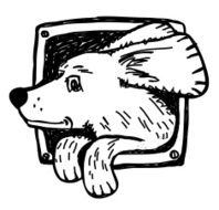 Dog in window