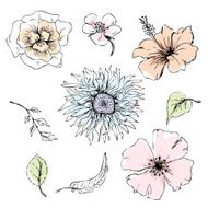 Doodles Flowers collection N25