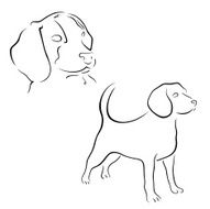 Beagle design set