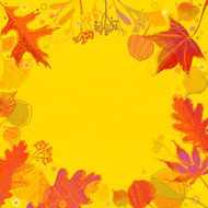 Autumn Leaves Background N3