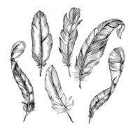 Feather set N14
