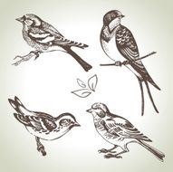 Bird set