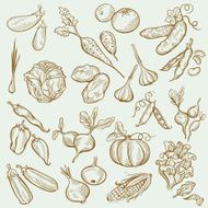 Drawing Colored Vegetables