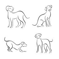 Dog design set N3