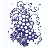 Hand-Drawn Grapes on Paper N3