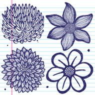 Set of Hand-Drawn Flowers on Paper N2