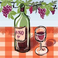 Wine and grapevine