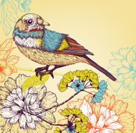 Summer bird N4