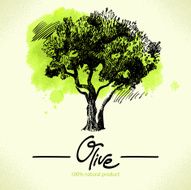 Hand drawn olive illustration with watercolor back N3