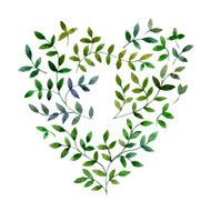 Leaves N6