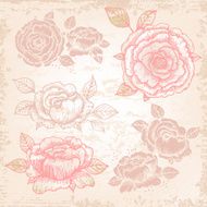 Hand-drawn roses in vintage style