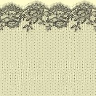 Lace seamless pattern N7