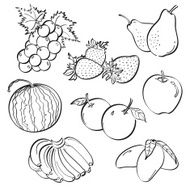 Fruit Set N4