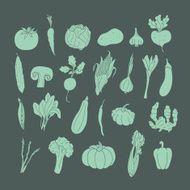 Set of hand drawn vegetables N5