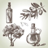 Hand drawn olive set N2