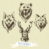 Set of marker hand-drawn forest animals wolf bear deer fox