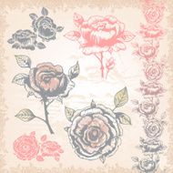 Vintage style Hand-drawn roses