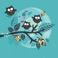 Three crazy owls