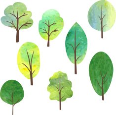 set of different trees by watercolor
