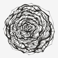 Abstract ornamental rose