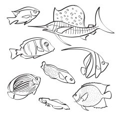 Fishes Collection N4