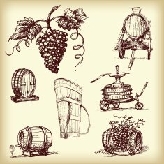 Hand drawn vector wine element