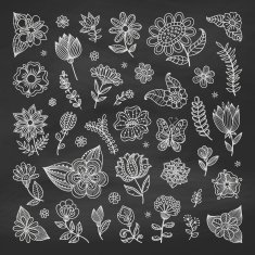 Set of floral elements N11