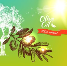 Vintage olive background N15