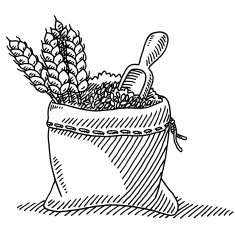 Wheat Plant Grain Sack Drawing