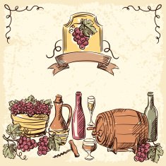 Wine vintage hand drawn illustration N3