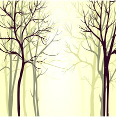 Vector background with trees N8