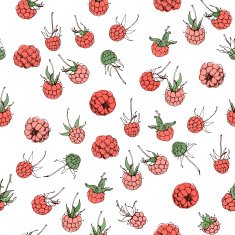 raspberry pattern N2