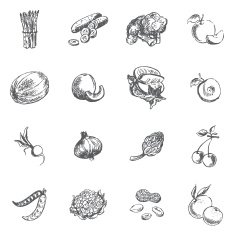 Vegetables berries and fruits N2