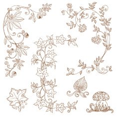 Vector set of decorative Autumn branches N4