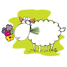 Happy Sheep N3