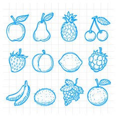 Doodle drawn fruits