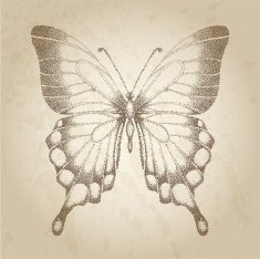 Beautiful butterfly painted in graphic style points
