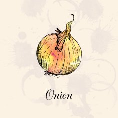 Hand Drawn Onion N3